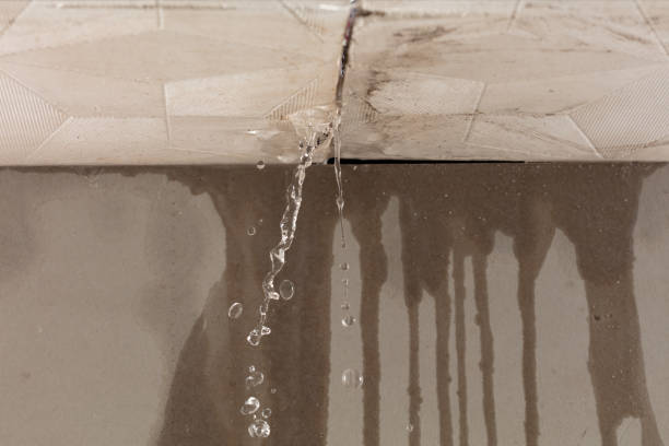 Professional Sewage Cleanup technician working in Chimacum, WA